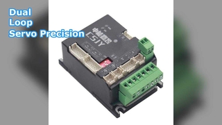 Trình điều khiển servo vòng kép